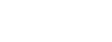 Basic Tulane Template - Using Divi